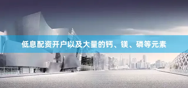 低息配资开户以及大量的钙、镁、磷等元素
