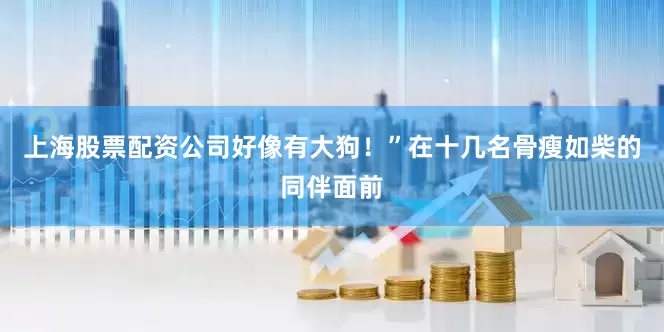 上海股票配资公司好像有大狗！”在十几名骨瘦如柴的同伴面前