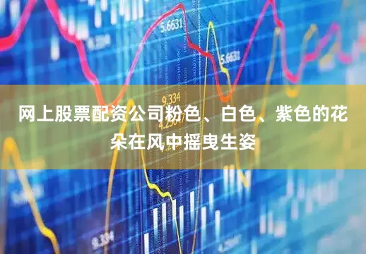 网上股票配资公司粉色、白色、紫色的花朵在风中摇曳生姿